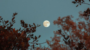 Como tirar foto da lua com iPhone