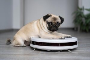 Robôs aspiradores para quem tem pets: quais os modelos mais bem recomendados